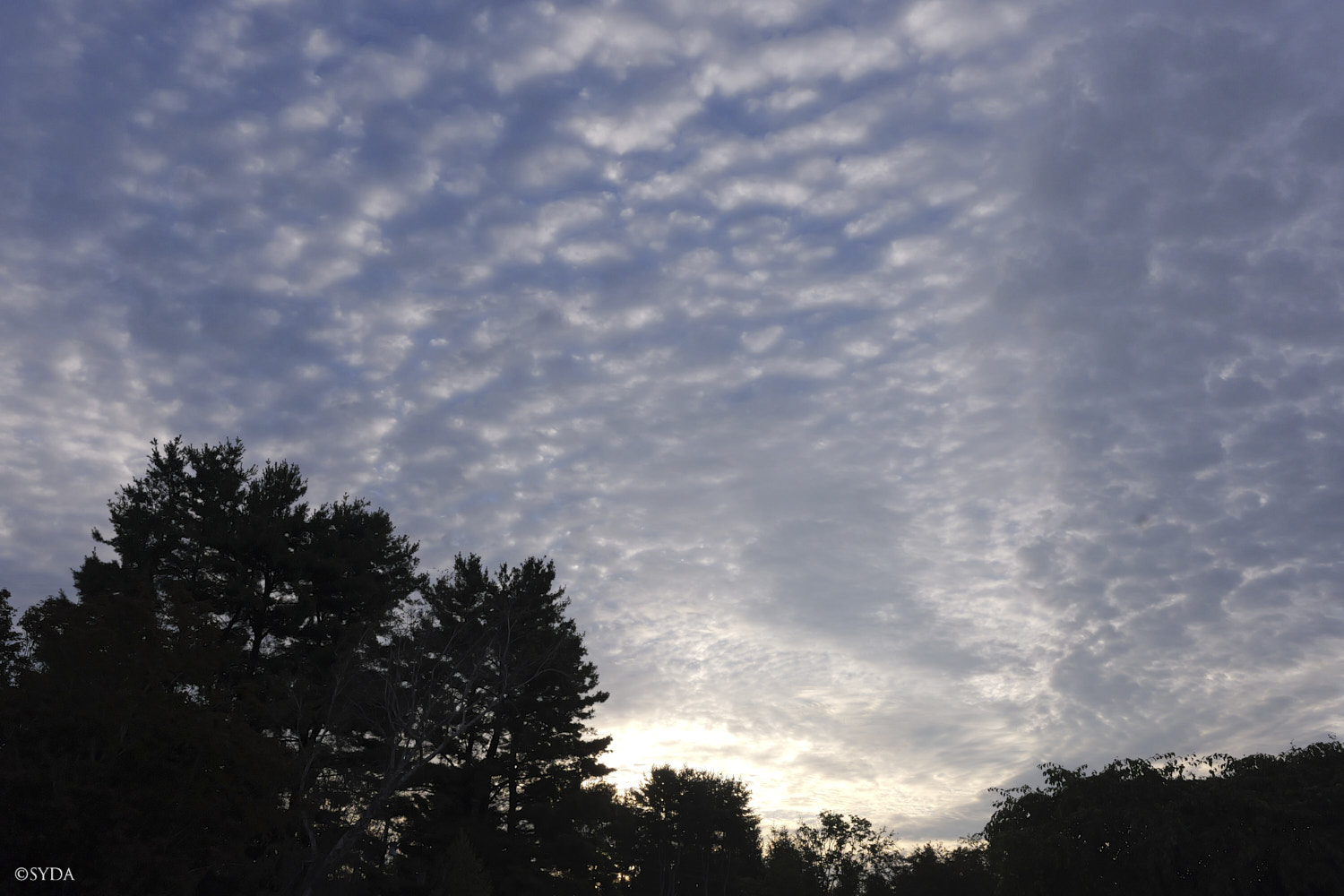 Nature Image