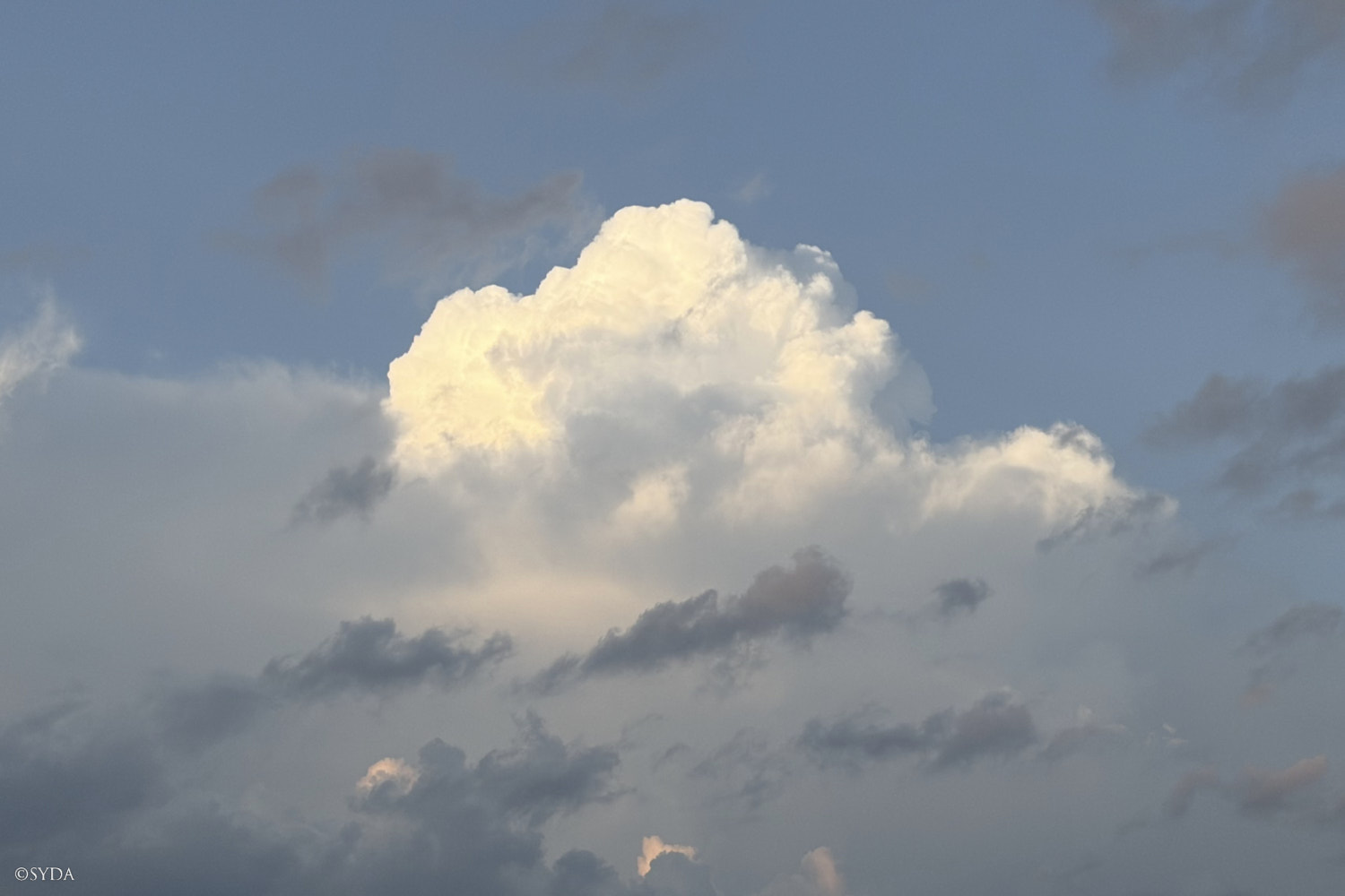 Nature Image