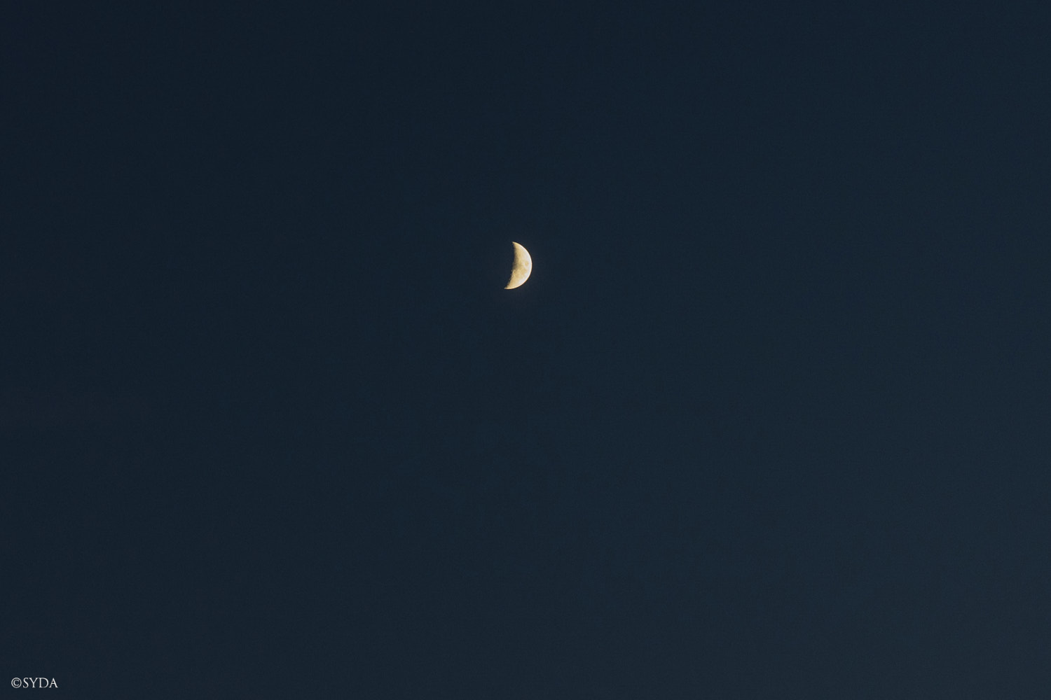 Nature Image