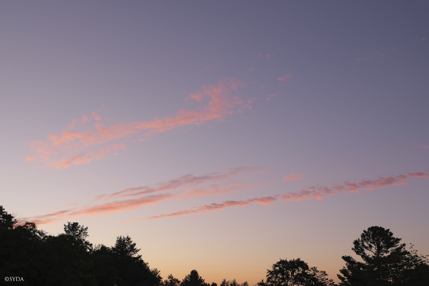 Nature Image