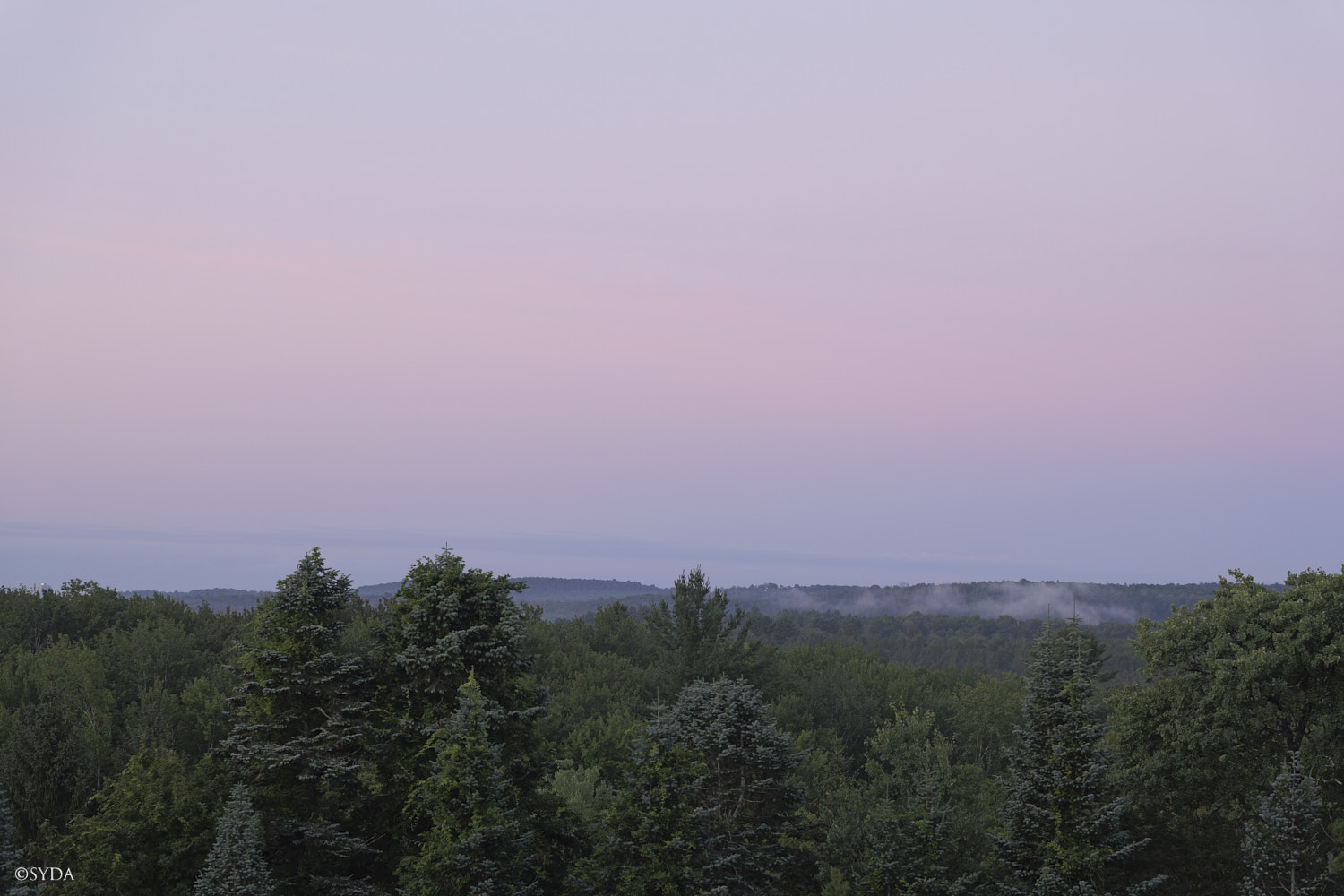 Nature Image