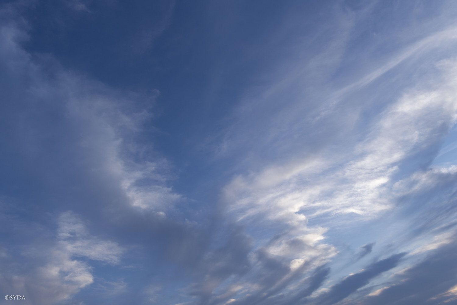 Nature Image