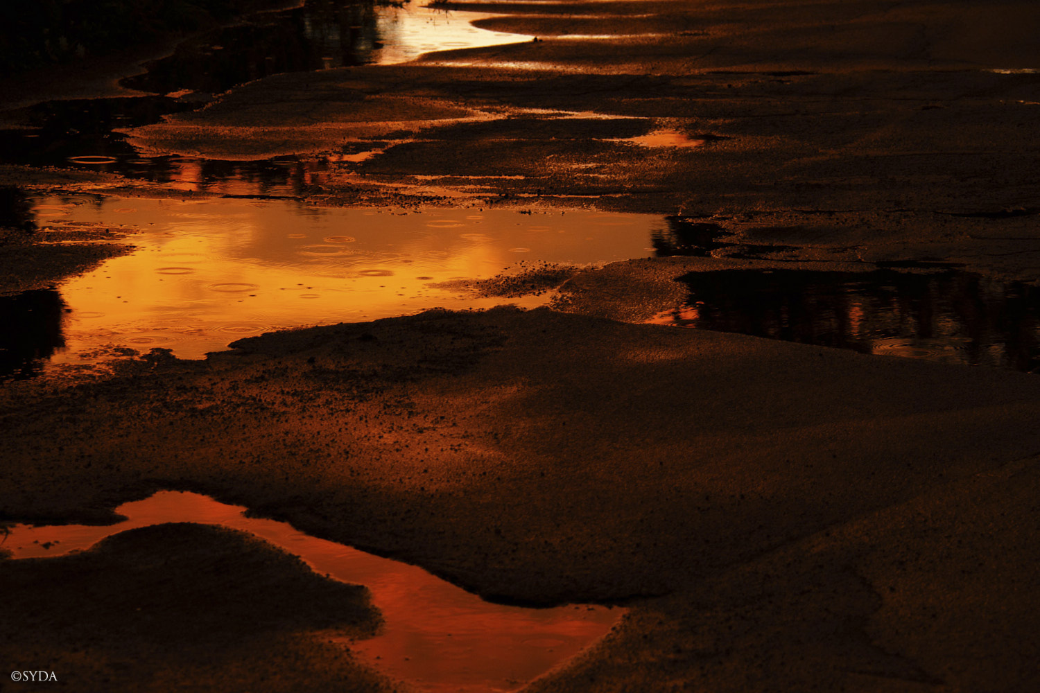 Nature Image