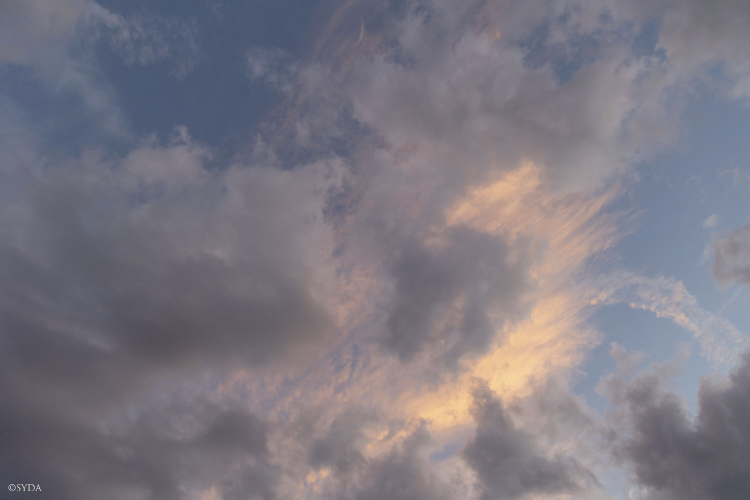 Nature Image