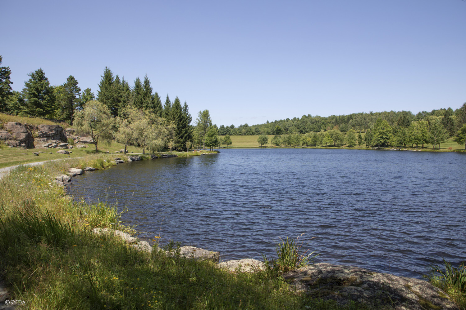 Nature Image