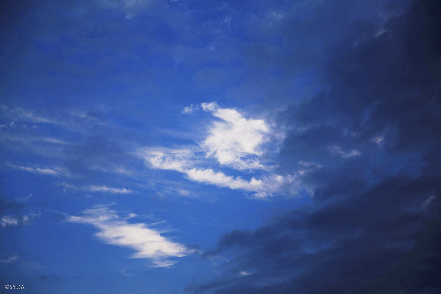 Nature Image