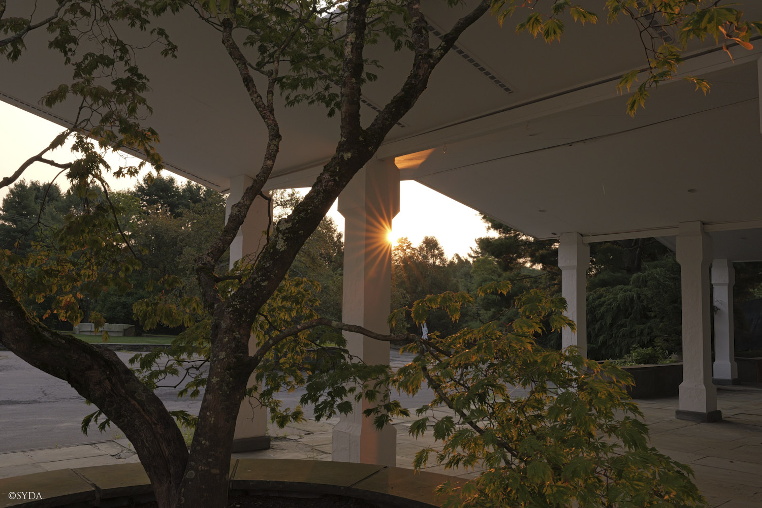 Nature Image