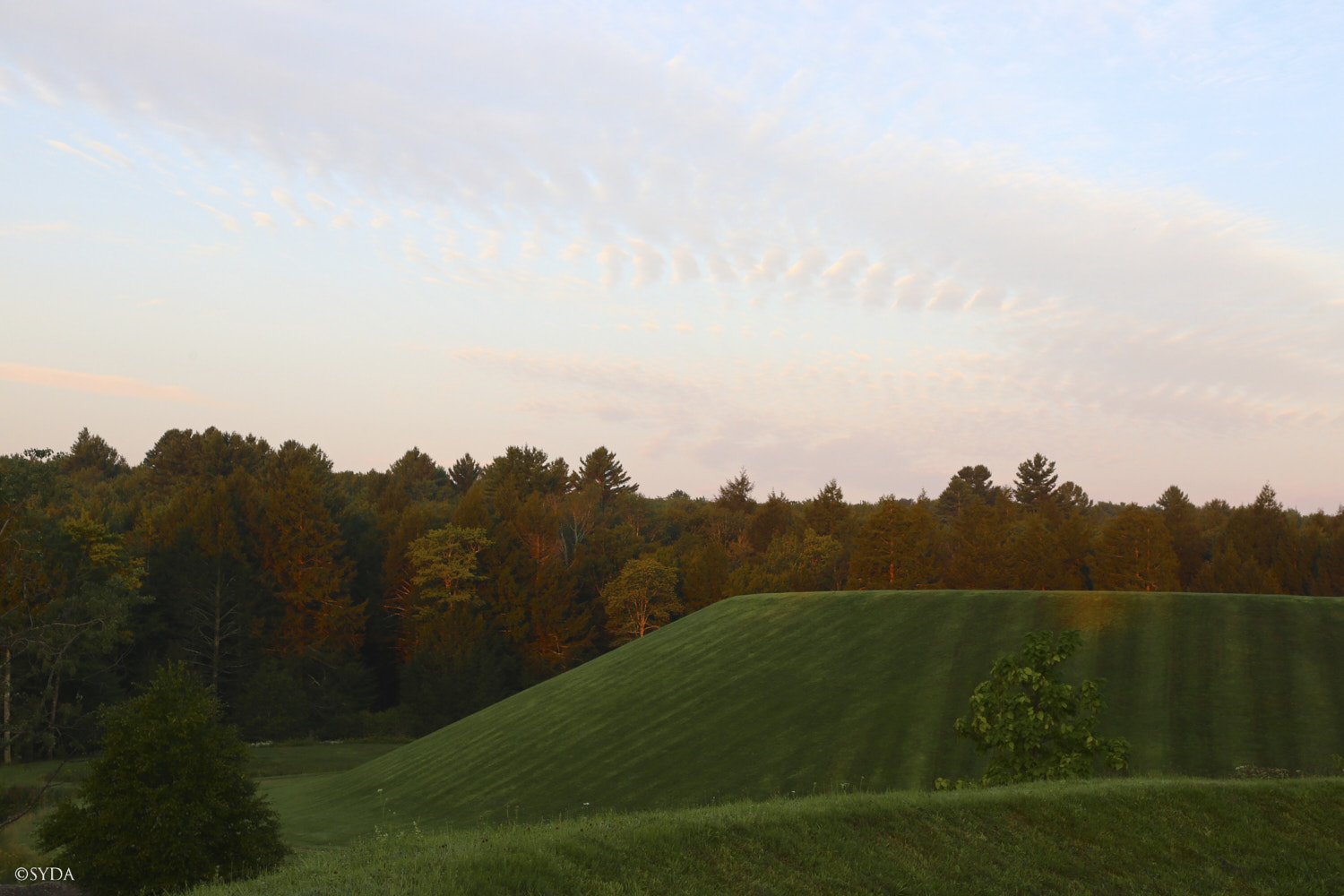 Nature Image
