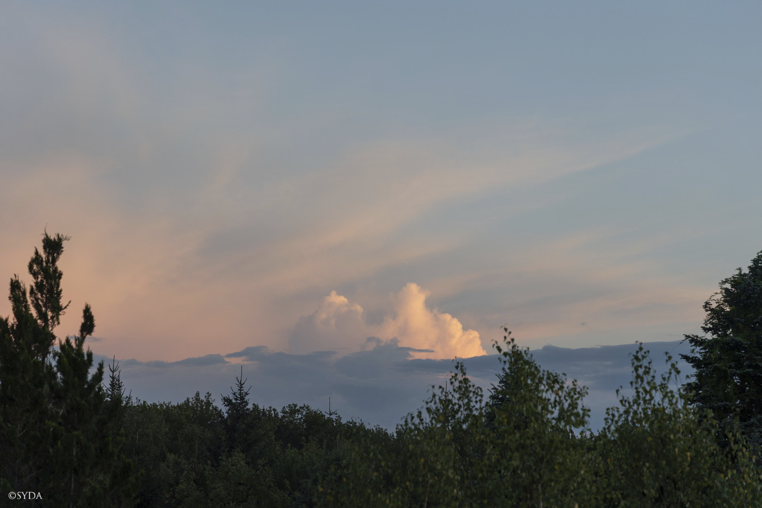 Nature Image