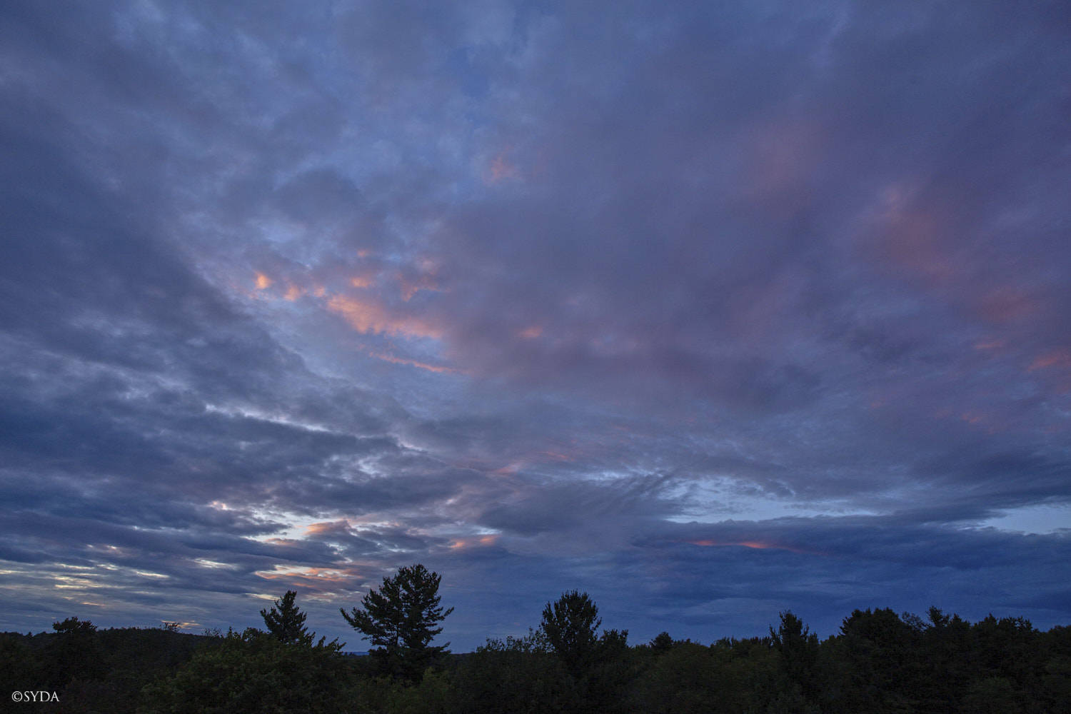 Nature Image