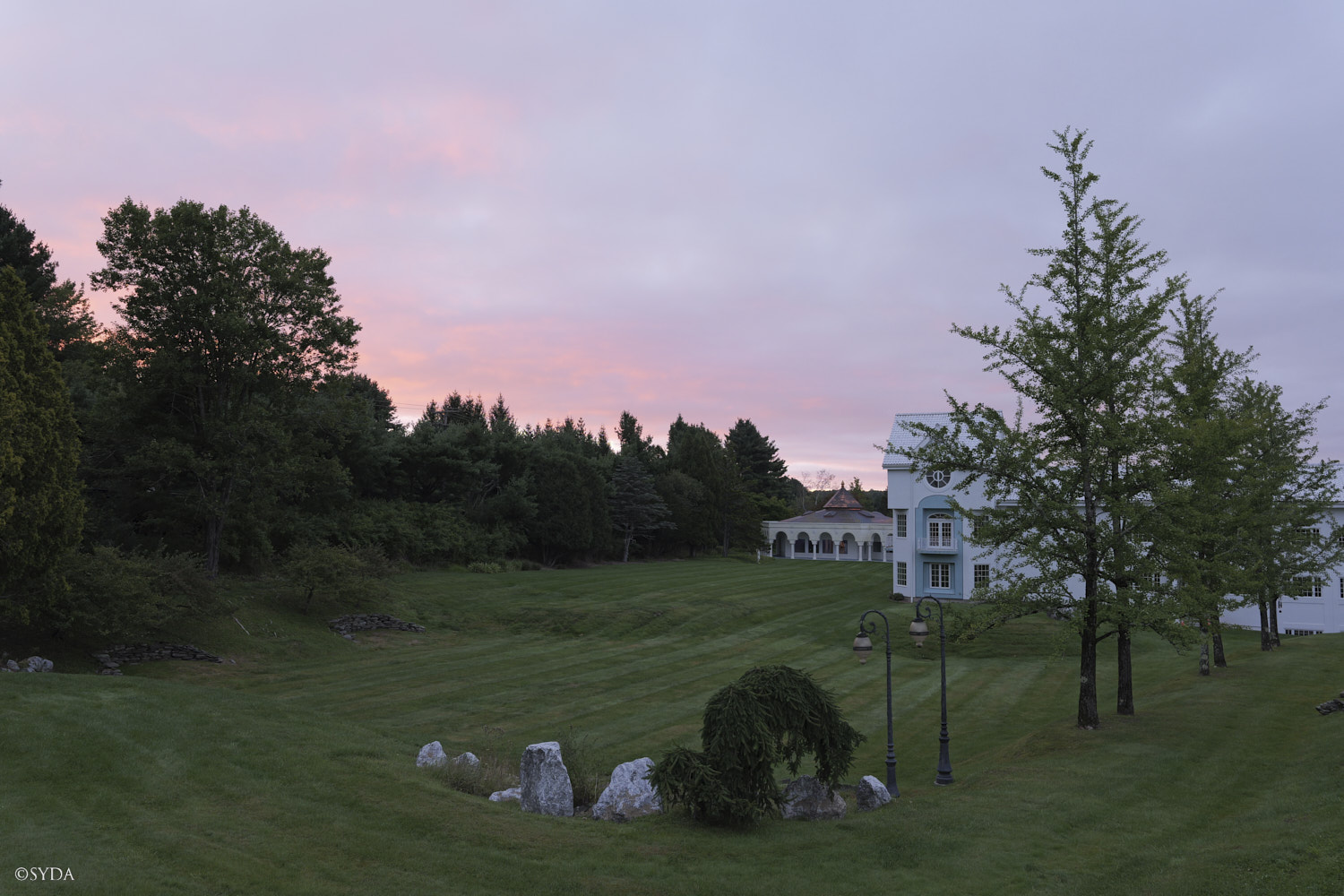 Nature Image