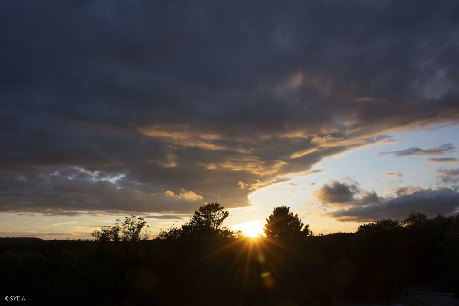 Nature Image