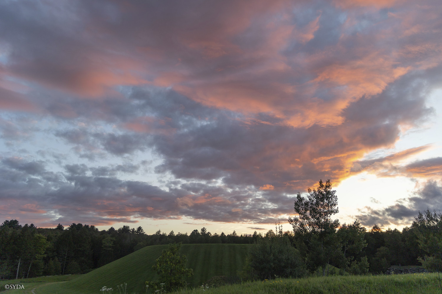 Nature Image