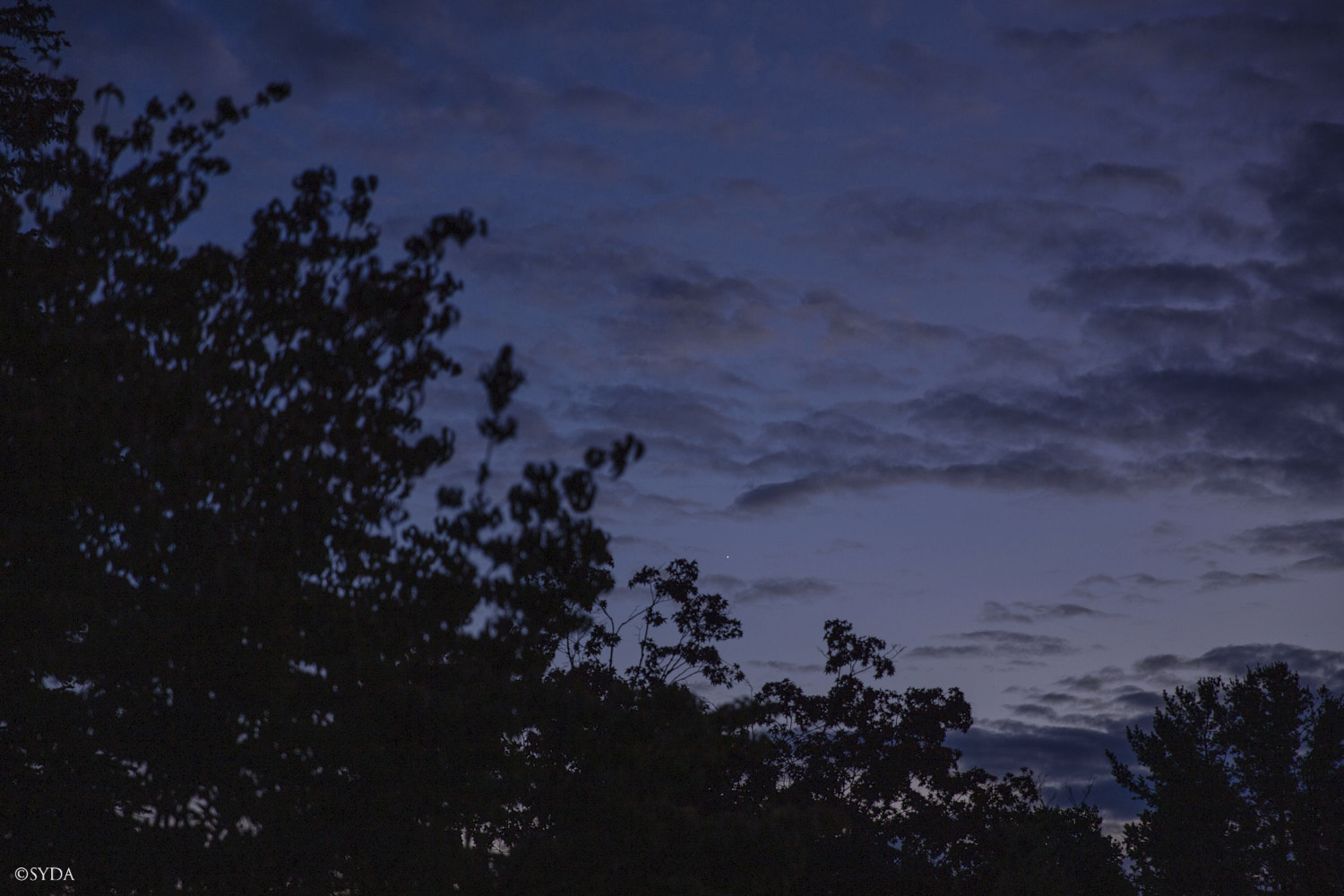 Nature Image