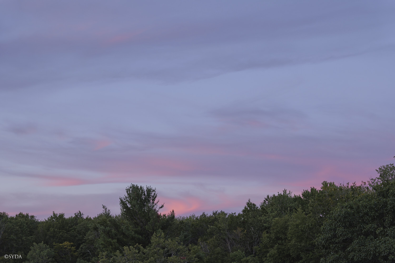Nature Image