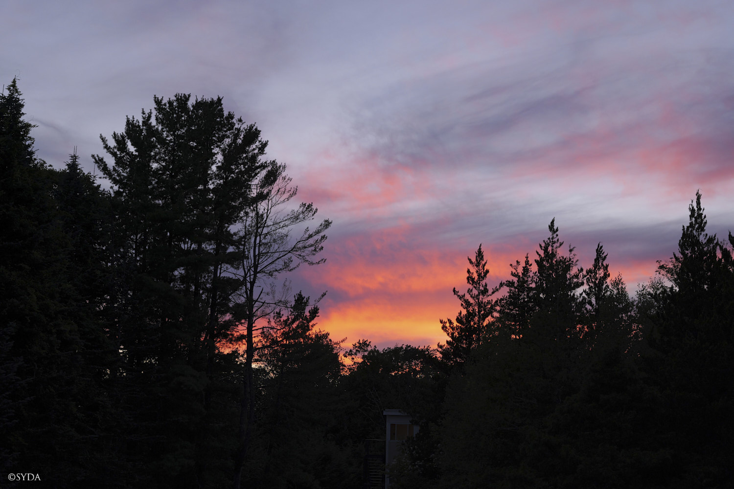 Nature Image