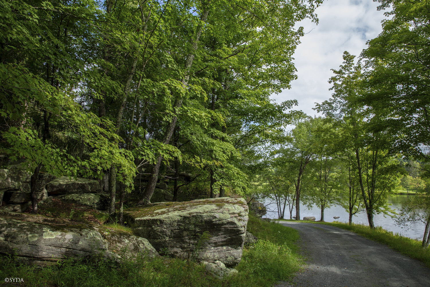 Nature Image