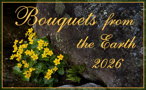 Bouquets from the Earth 2026