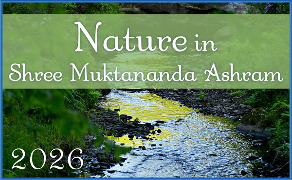 Nature Gallery 2026