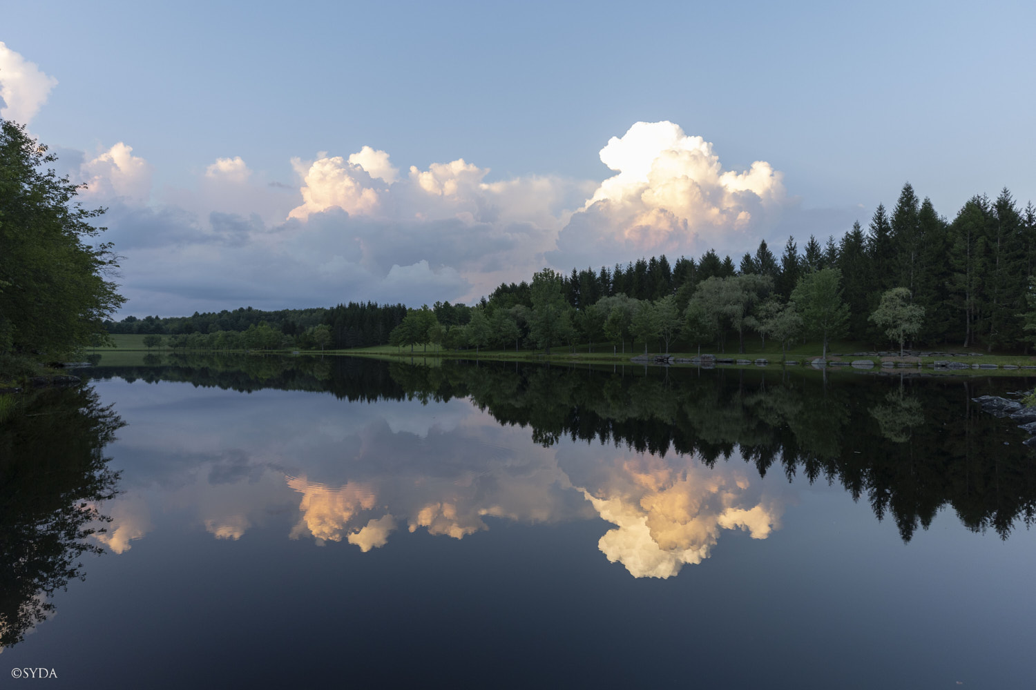 Nature Image