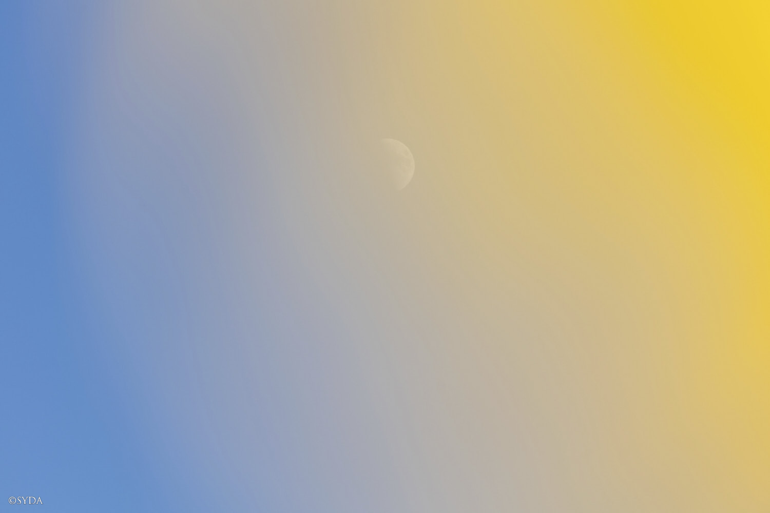 Nature Image