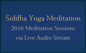 Meditation Sessions 2016 - Young Adult