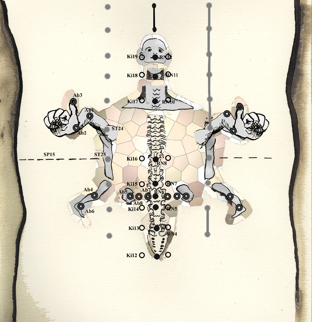 Abdominal Acupuncture Points Chart