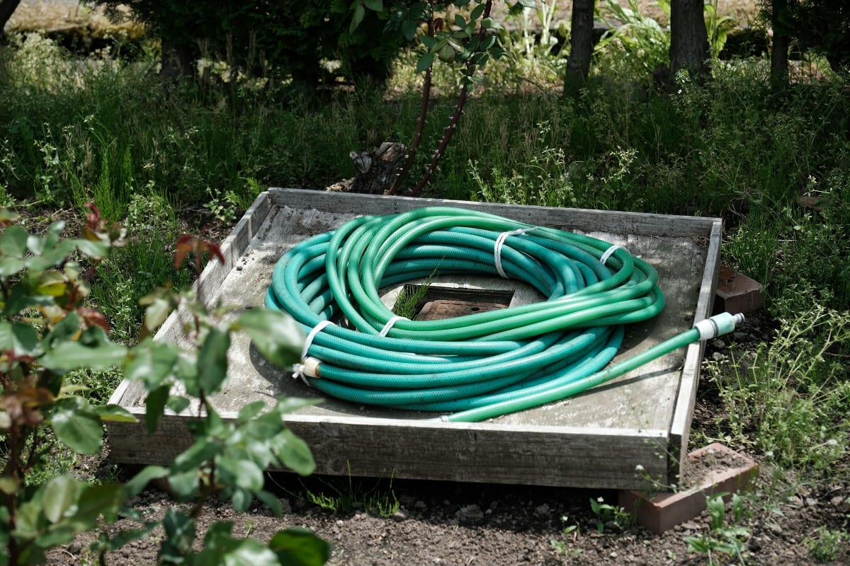 Green garden hose coiled in the garden