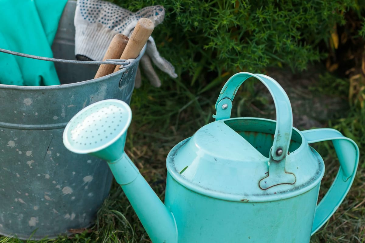 Turquoise watering can beside a bucket of garden tools