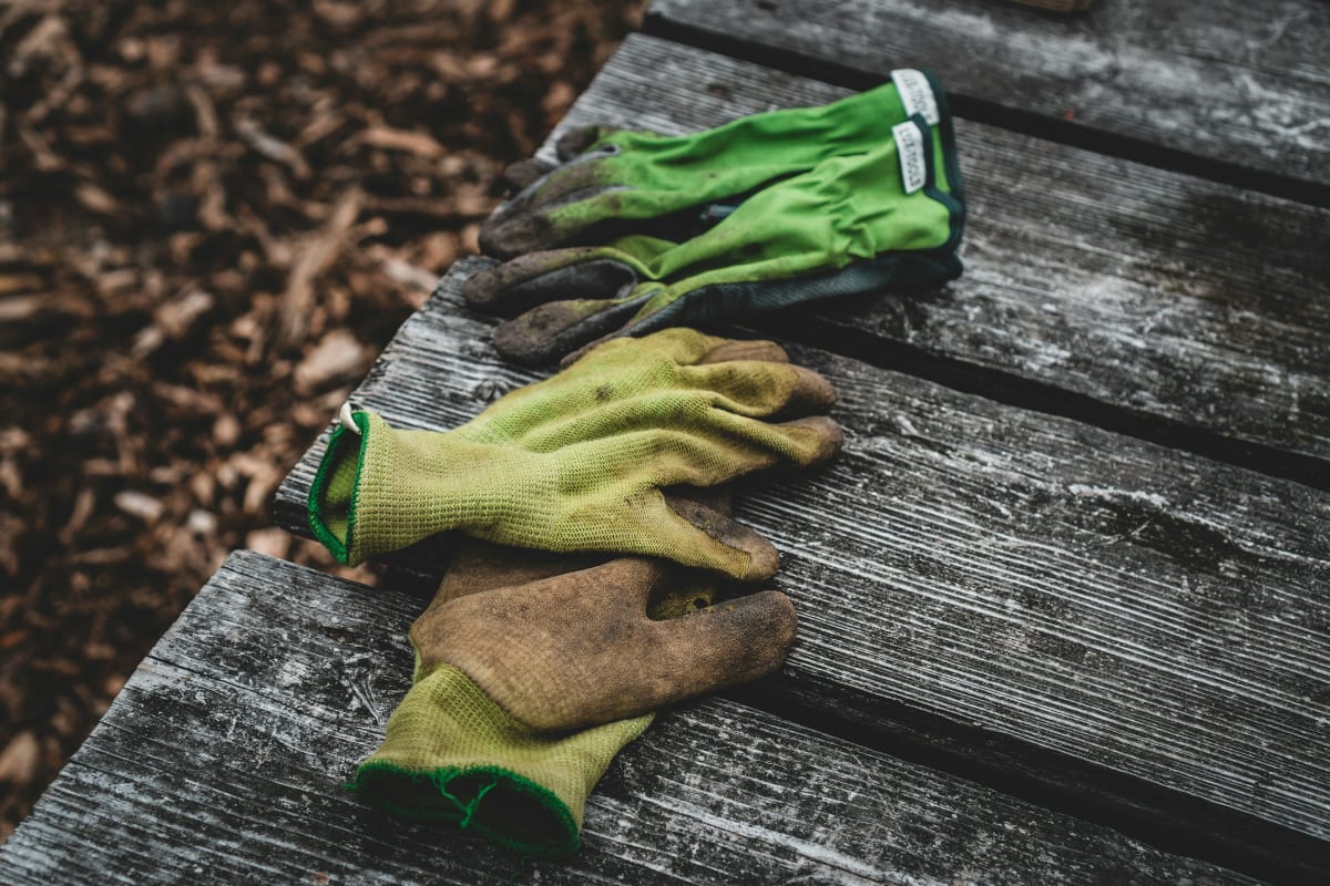 Green work gloves on a weathered wood bench