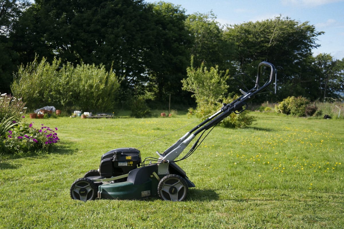 Push mower on a lawn beside a flower garden