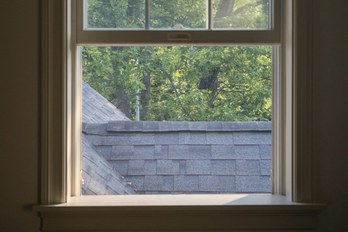 Double-hung window looking out at the trees