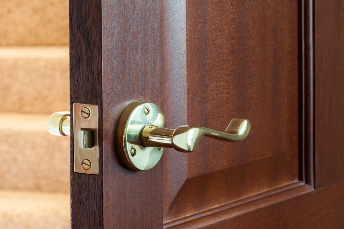Brass lever handle on a wood door