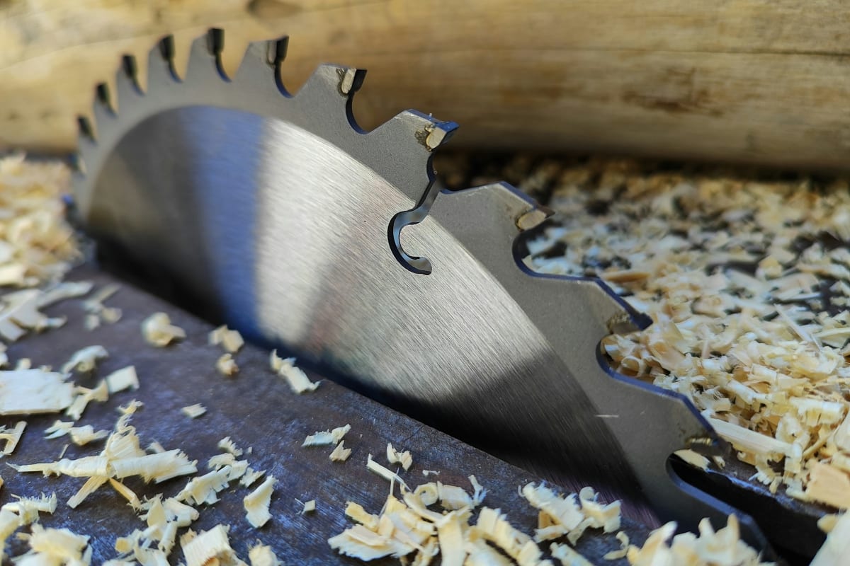 Saw blade resting in fresh sawdust