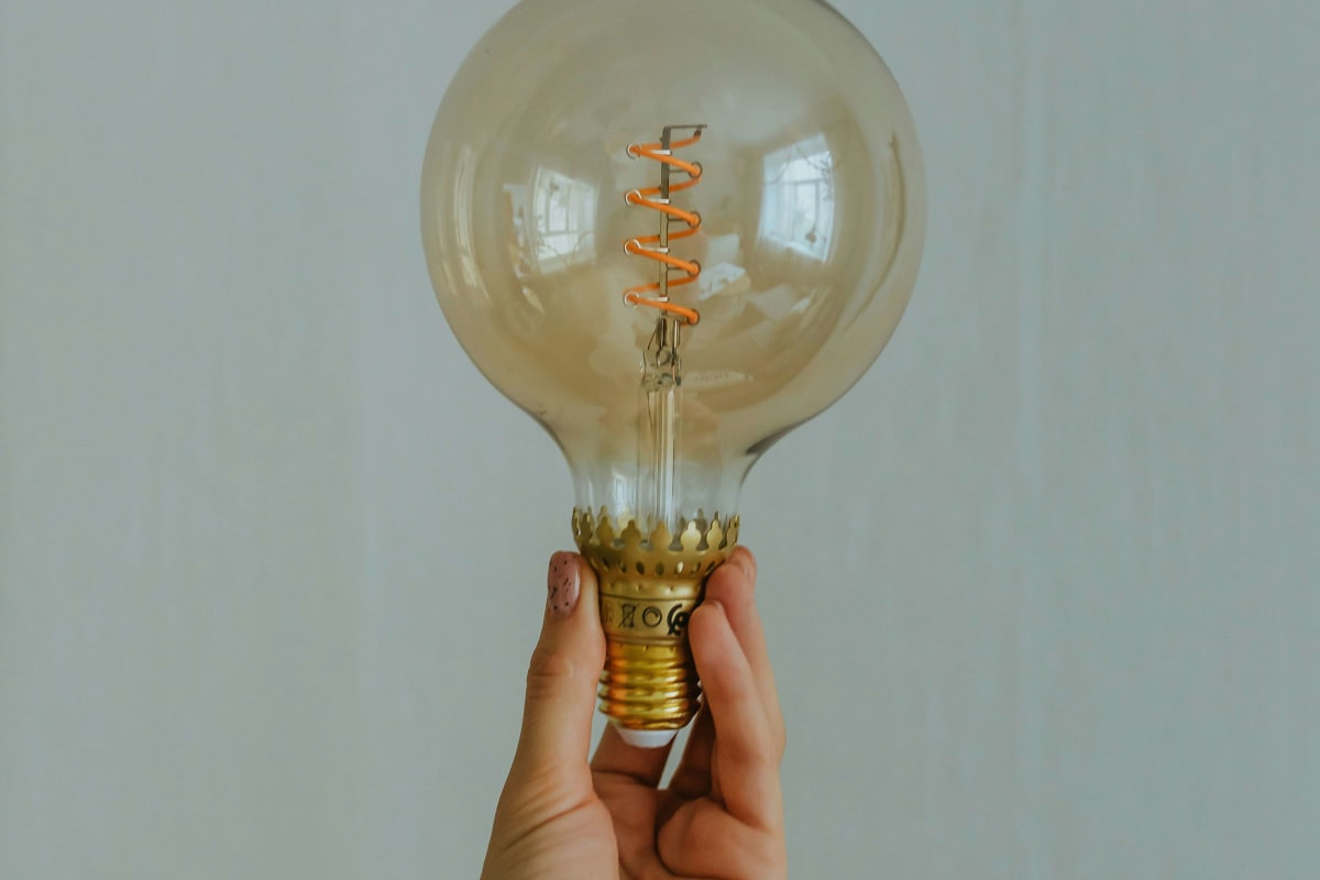 Hand holding a large globe bulb