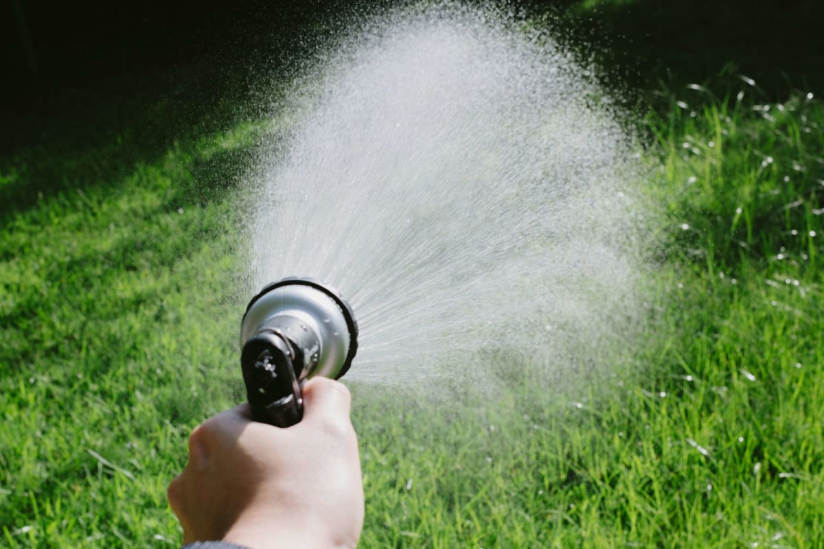 Spraying the lawn with a hose nozzle