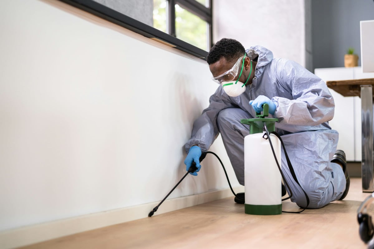 Spraying along a baseboard for pests