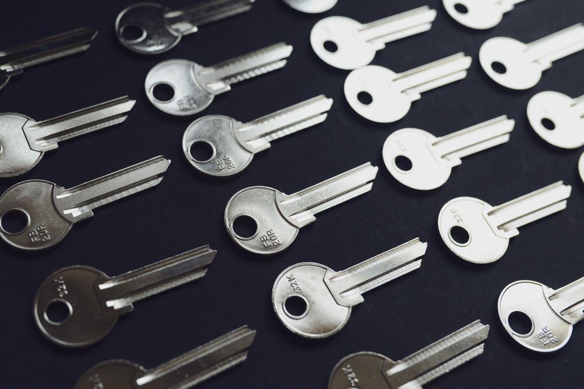 Rows of fresh-cut key blanks