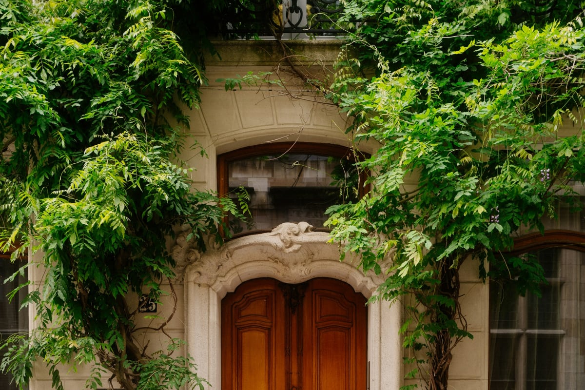 Carved wood double doors framed by vines
