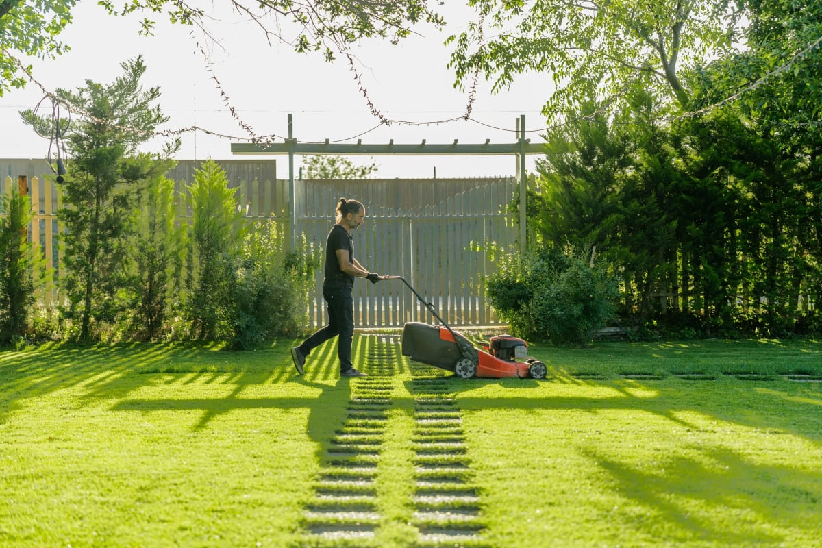 Push mower in a sunny backyard