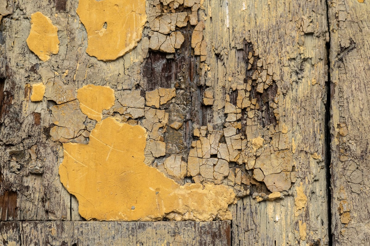 Old paint flaking off wood