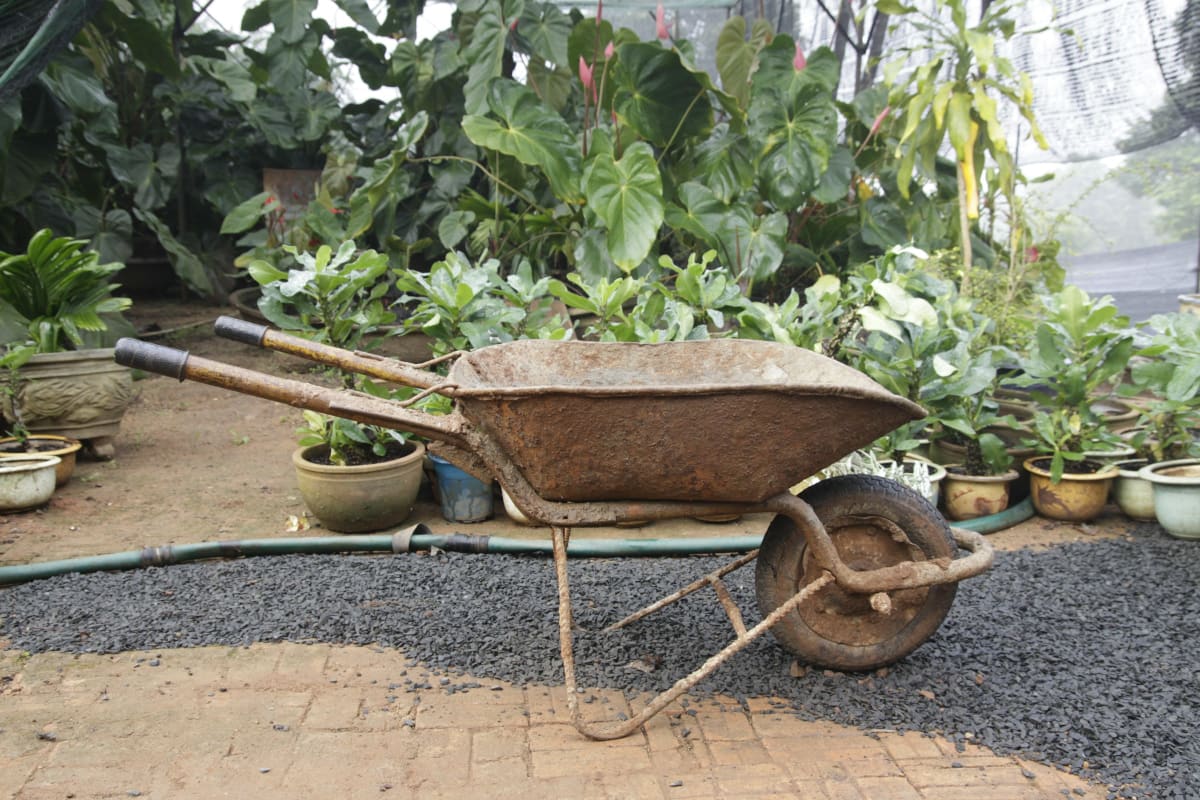 Old wheelbarrow in a garden