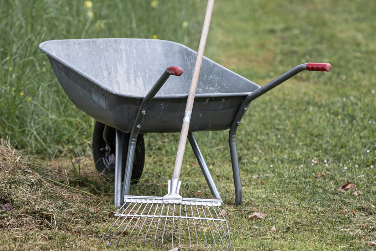 Wheelbarrow and rake in the grass