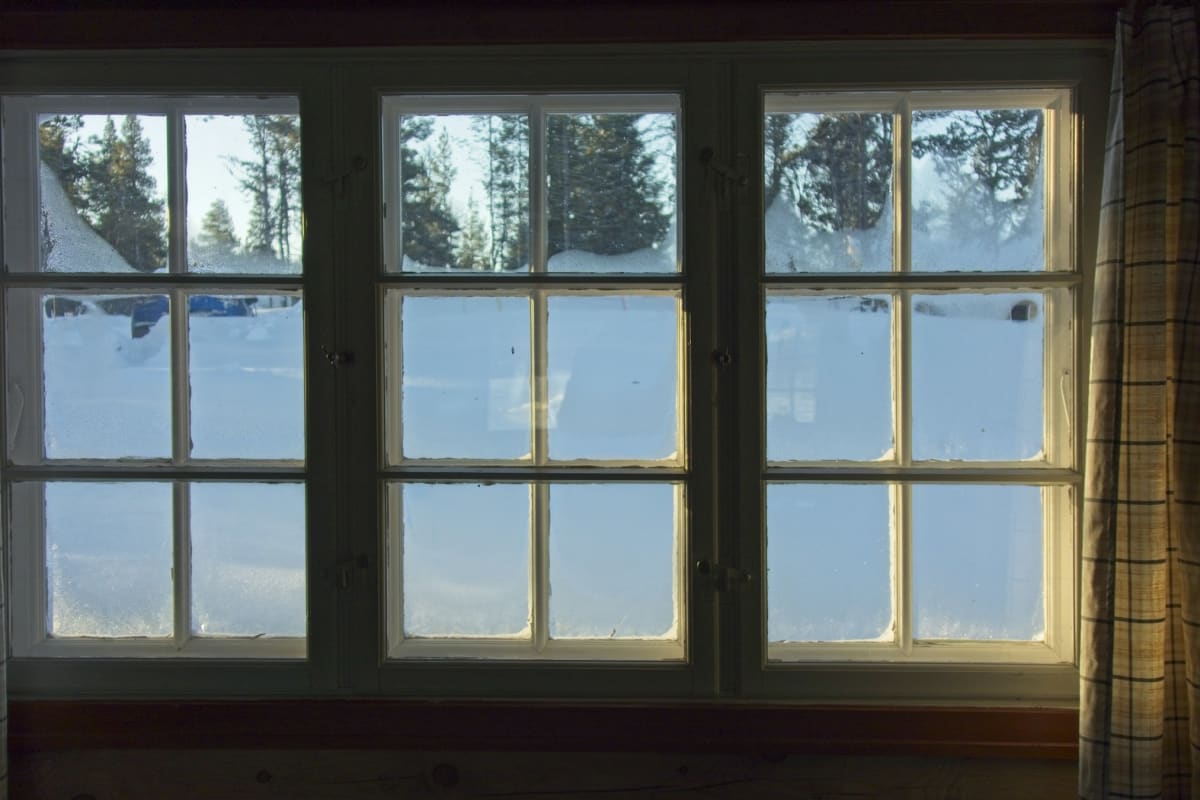 Snowy woods through paned windows