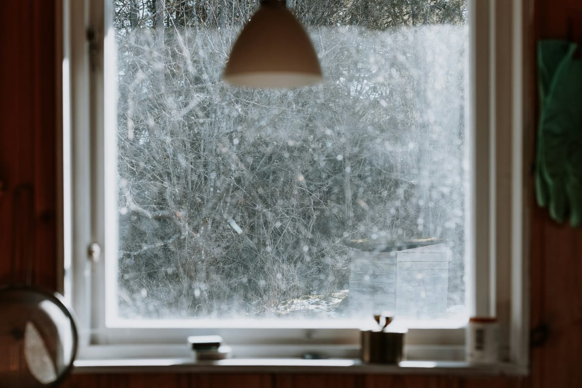 Frosted window in winter