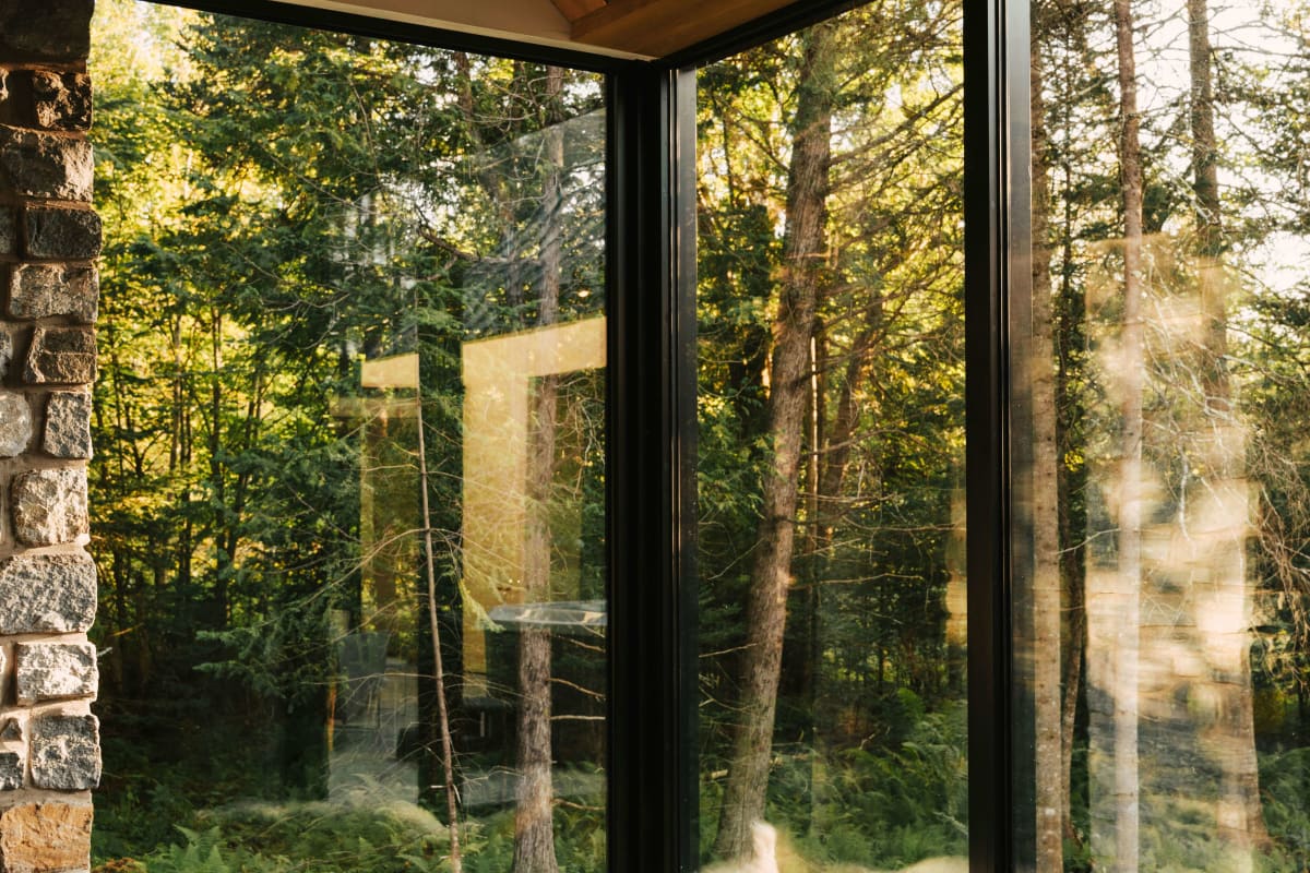 Corner windows opening onto the forest
