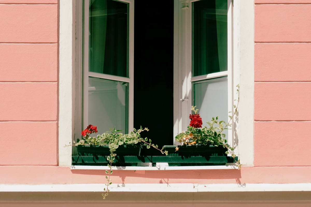 White-trimmed doors and windows