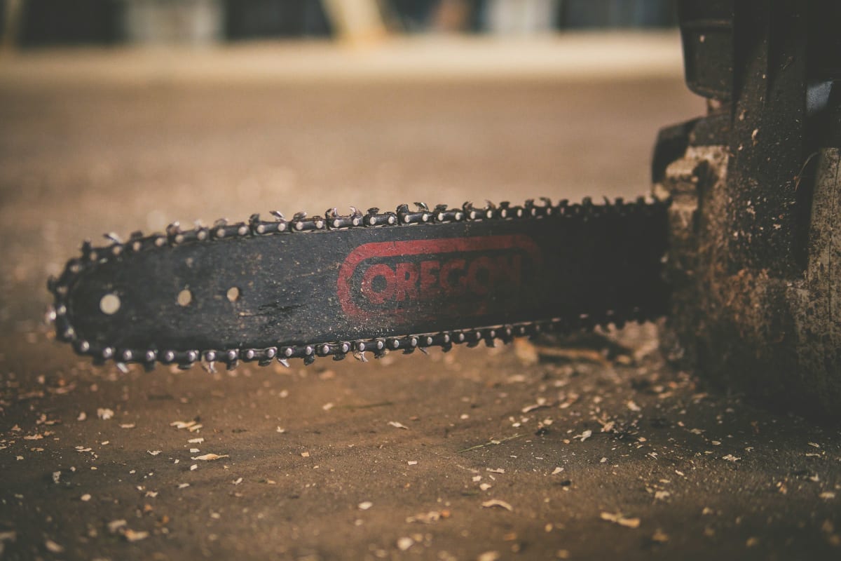 Oregon chain and bar close up