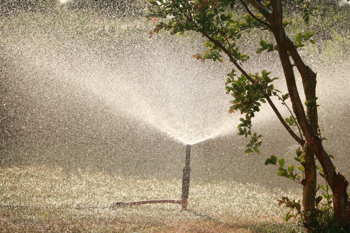 Pop-up sprinkler spraying the grass