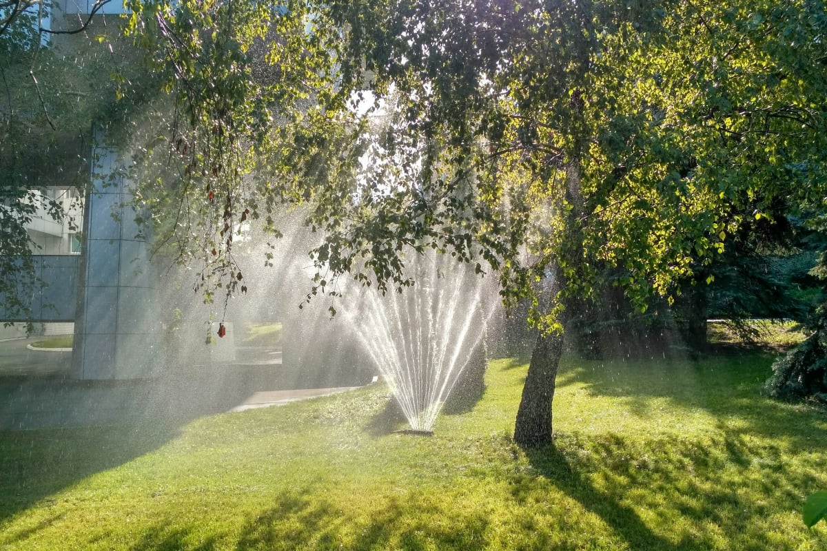 Sprinkler watering a shady lawn